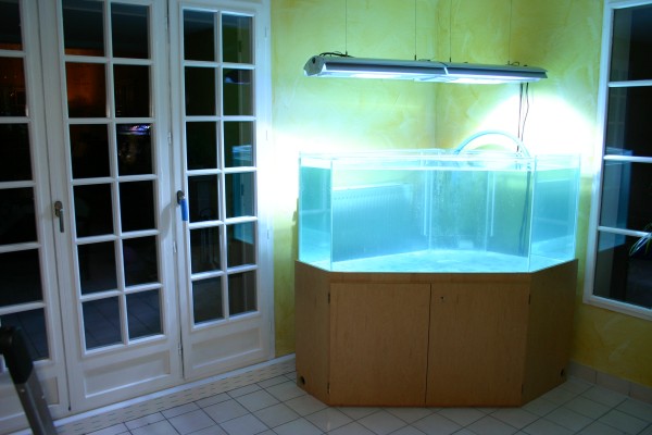 Click for the original image