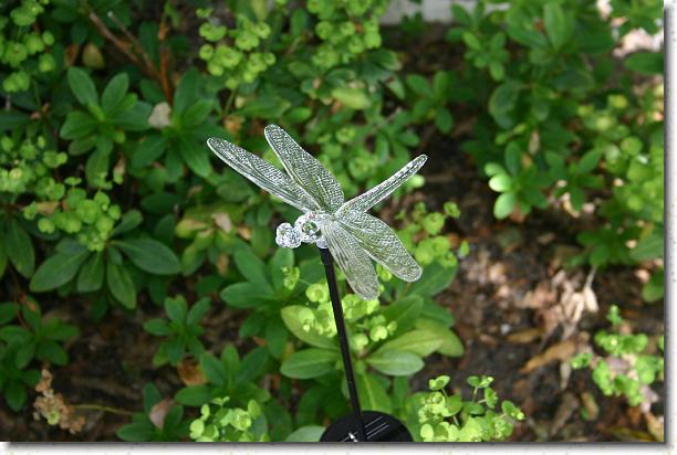 Cliquer pour l\'image originale