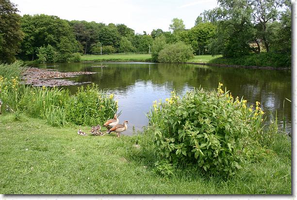 Cliquer pour l\'image originale