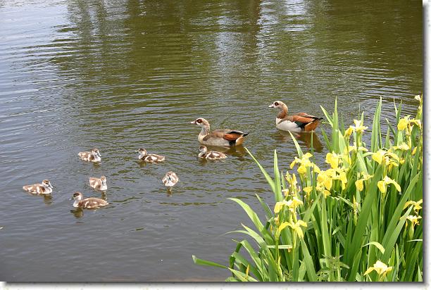 Cliquer pour l\'image originale