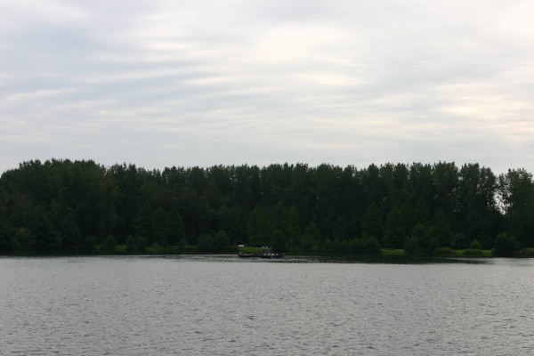 Click for the original image