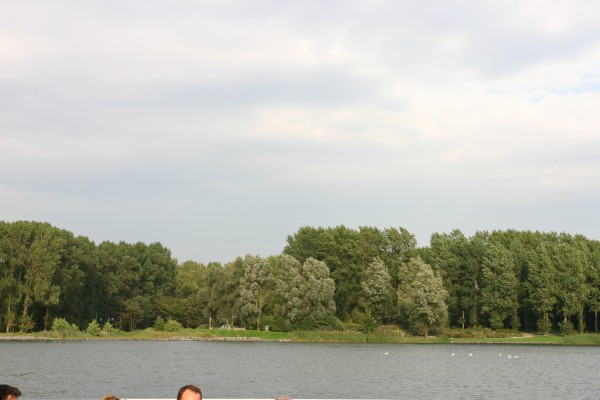 Click for the original image