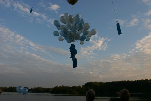 Click for the original image