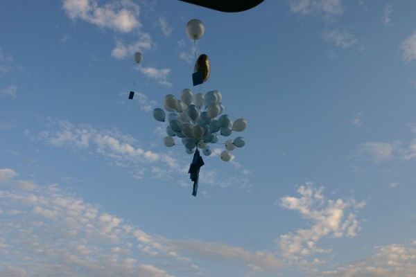 Click for the original image