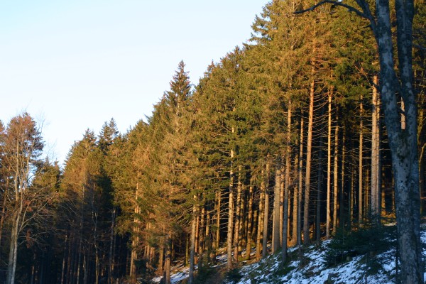 Click for the original image