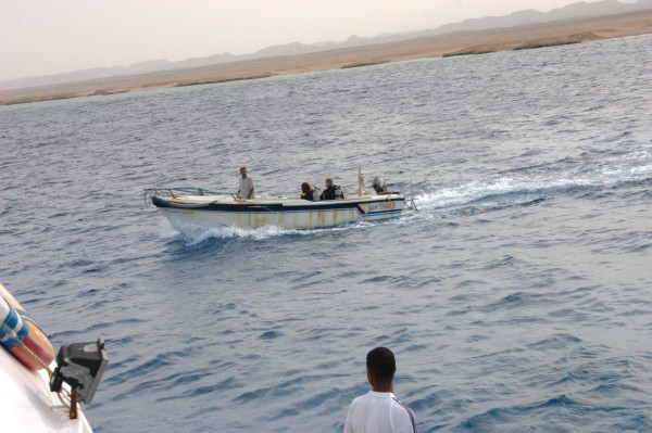 Click for the original image