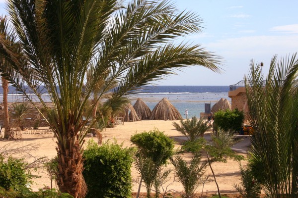 Click for the original image