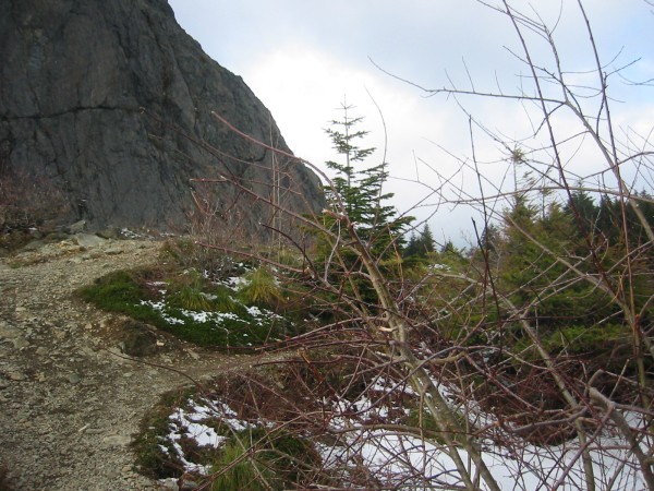 Cliquer pour l\'image originale