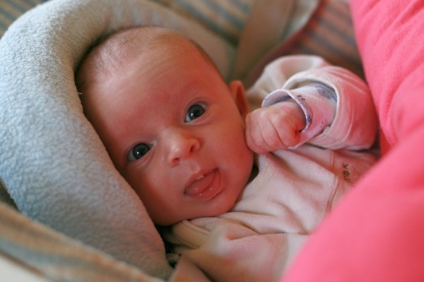 Click for the original image