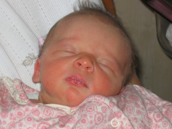 Click for the original image