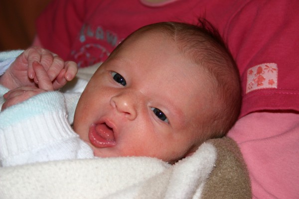 Click for the original image