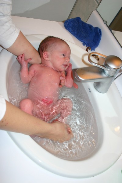 Click for the original image